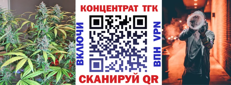 Купить Камышин ТГК концентрат