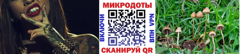 Купить закладки  Камышин  Псилоцибиновые грибы Magic Shrooms 